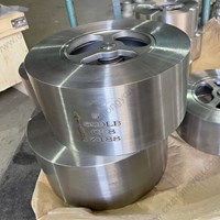 ASTM A351 CF8 Wafer Check Valve 5'' 600LB