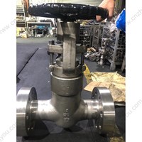 ASTM A182 F304  globe  valve 3'' 2500LB