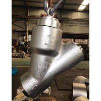 Forge F316L Y pattern Check Valve  DN65 PN250