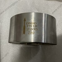 2205 Lift Type Wafer Check Valve DN80 PN16