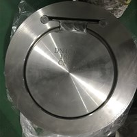 ASTM A351 CF8  Single Disc Wafer Check Valve DN400 PN16