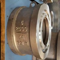 4A Double plate Wafer Check Valve 6'' 2500LB