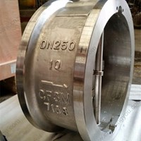 CF8M Double plate  Wafer Check Valve DN250 PN10