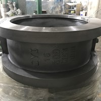 WCB Double plate  Wafer Check Valve  16'' 300LB