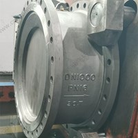 WCB Double flange  Wafer Check Valve  DN1000 PN16