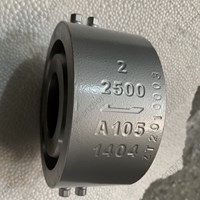 ASTM A105  Wafer Check Valve 2'' 2500LB