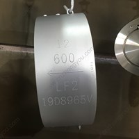 LF2 Lug Check Valve  12'' 600LB