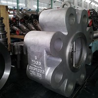 A494 CU5MCUC Lug Check Valve 6'' 2500LB