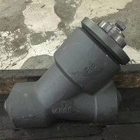 ASTM A182 F11 Y pattern Check Valve 1'' 4500LB