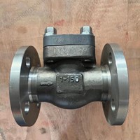 TA2  Swing  Check Valve 1'' 150LB