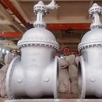 ASTM A216 WCB gate valve DN900 PN25