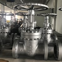 WCB API600 gate valve 8'' 600LB