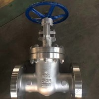 API600  CF8M gate valve 4'' 600LB