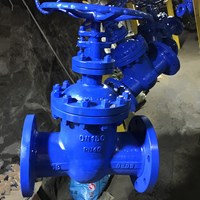 WCB Non-rising stem  gate valve DN150 PN40