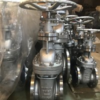 DIN 1.4408 gate valve DN150 PN10