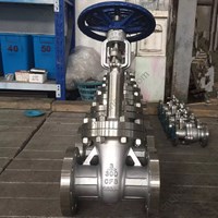 CF8 Extended Stem globe valve 3'' 300LB