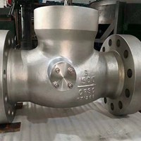 CF8C Tilting Disc Check Valve 8'' 1500LB