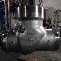 ASTM A351 CF8C Tilting Disc Check Valve 18'' 2500LB