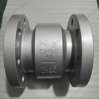 A105 Axial flow check valve  DN80 PN40