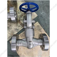 ASTM A182 F304  globe  valve DN50 PN420