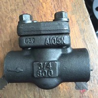 ASTM A105N Check Valve 3/4'' 800LB