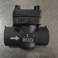 ASTM A105N Check Valve 1'' 800LB