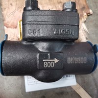 ASTM A105N Check Valve 1'' 800LB