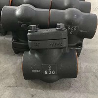 ASTM A105N Check Valve 2'' 800LB