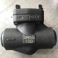 ASTM A105N Check Valve DN50 PN100