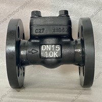 ASTM A105N Check Valve DN15 10K