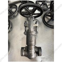 ASTM A182 F51 globe  valve  DN25 PN250