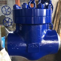 ASTM A182 F91 Check Valve 4'' 800LB