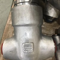 ASTM A182 F51 Check Valve 2 1/2'' 2500LB