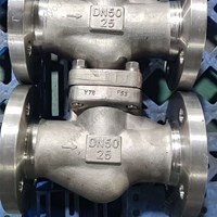 ASTM A182 F53 Check Valve DN50 PN25