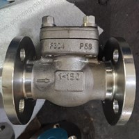 Forge F304 Check Valve 1'' 150LB