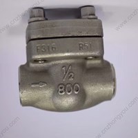 Forge F316 Check Valve 1/2'' 800LB