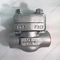 Forge F316 Check Valve 1/2'' 800LB