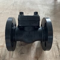 Forge LF2  Check Valve  1'' 150LB