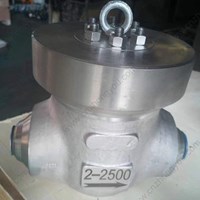 ASTM A182 F321 Check Valve 2'' 2500LB