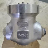 ASTM A182 F321 Check Valve 2'' 2500LB