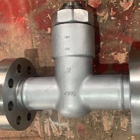 Forge F304 Check Valve 2'' 2500LB