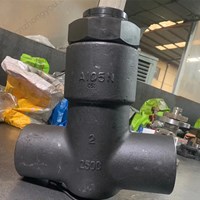 ASTM A105N Check Valve 2'' 2500LB