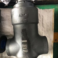 ASTM A105N Check Valve DN50 PN420