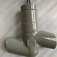 ASTM A105N Check Valve DN50 PN250