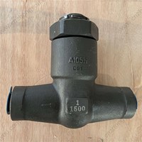 ASTM A105N Check Valve 1'' 1500LB