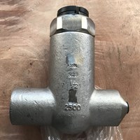 Forge F316L  Check Valve  1/2'' 2500LB