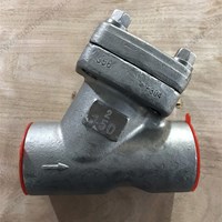 Forge F304 Y pattern Check Valve 2'' 150LB