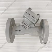 Forge F316L  Y  pattern Check Valve  DN25 PN16