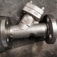 Forge F316 Y pattern Check Valve  1'' 150LB