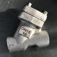 Forge F316L Y pattern Check Valve  DN15 PN16